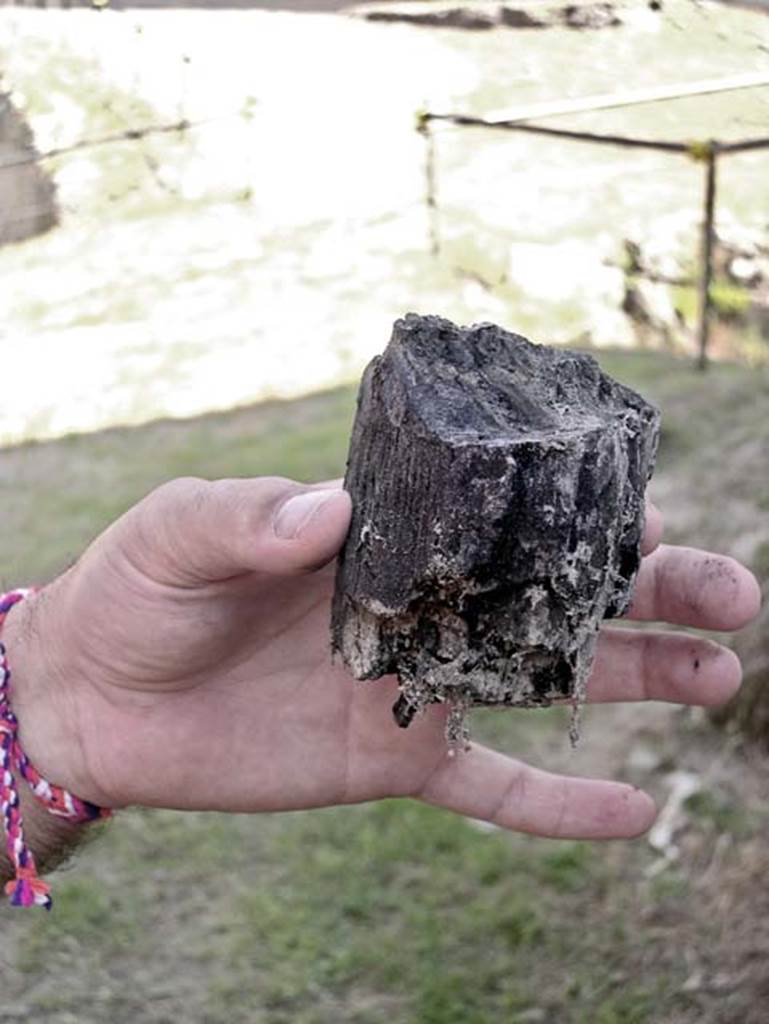 Villa dei Papiri, Herculaneum. July 2004. A piece of carbonised wood.
Photo courtesy of Jennifer Stephens.©jfsPAP0679